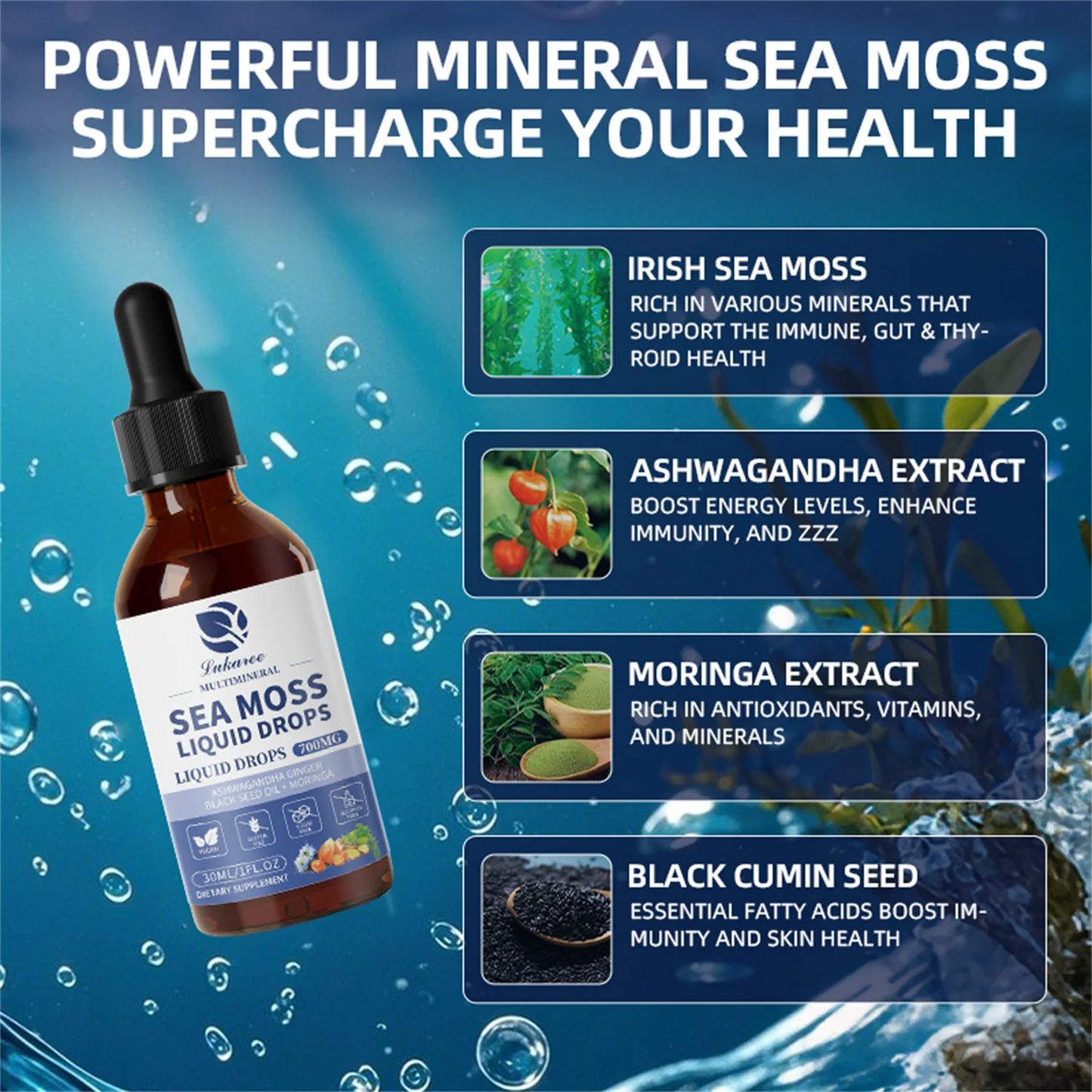 Sea Moss Liquid Drops – Irish Sea Moss with Ashwagandha, Moringa, Black Seed, Mullein Leaf, Chlorophyllin, Elderberry Extract | 2 Fl Oz