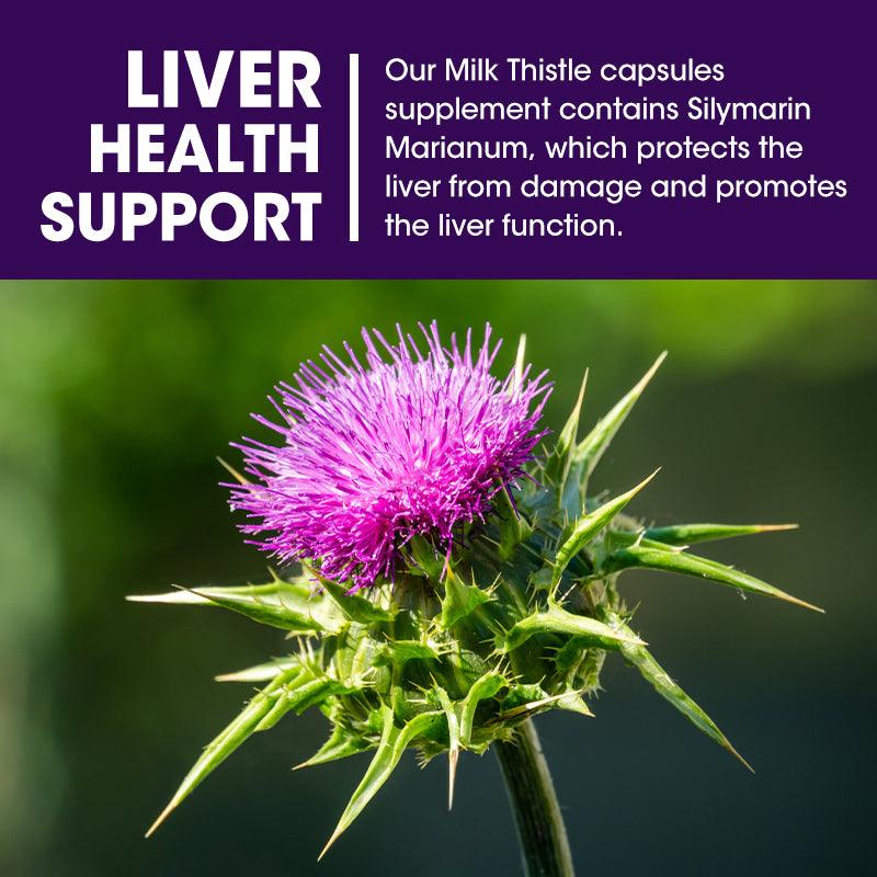 Milk Thistle Silymarin 4:1 Extract – 1000mg Herbal Liver Support Supplement with Natural Antioxidants – 60 Capsules