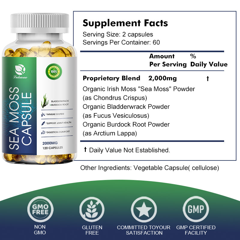 SeaMoss Capsules For Immune Support Metabolism Kickstart Cognitive – 120ct