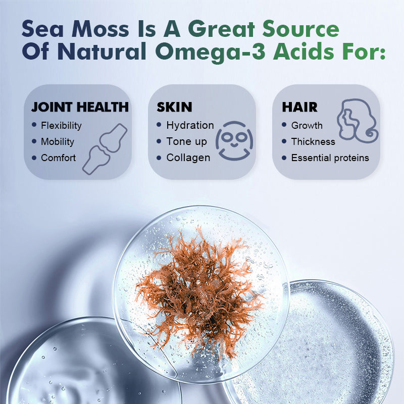 SeaMoss Capsules For Immune Support Metabolism Kickstart Cognitive – 120ct