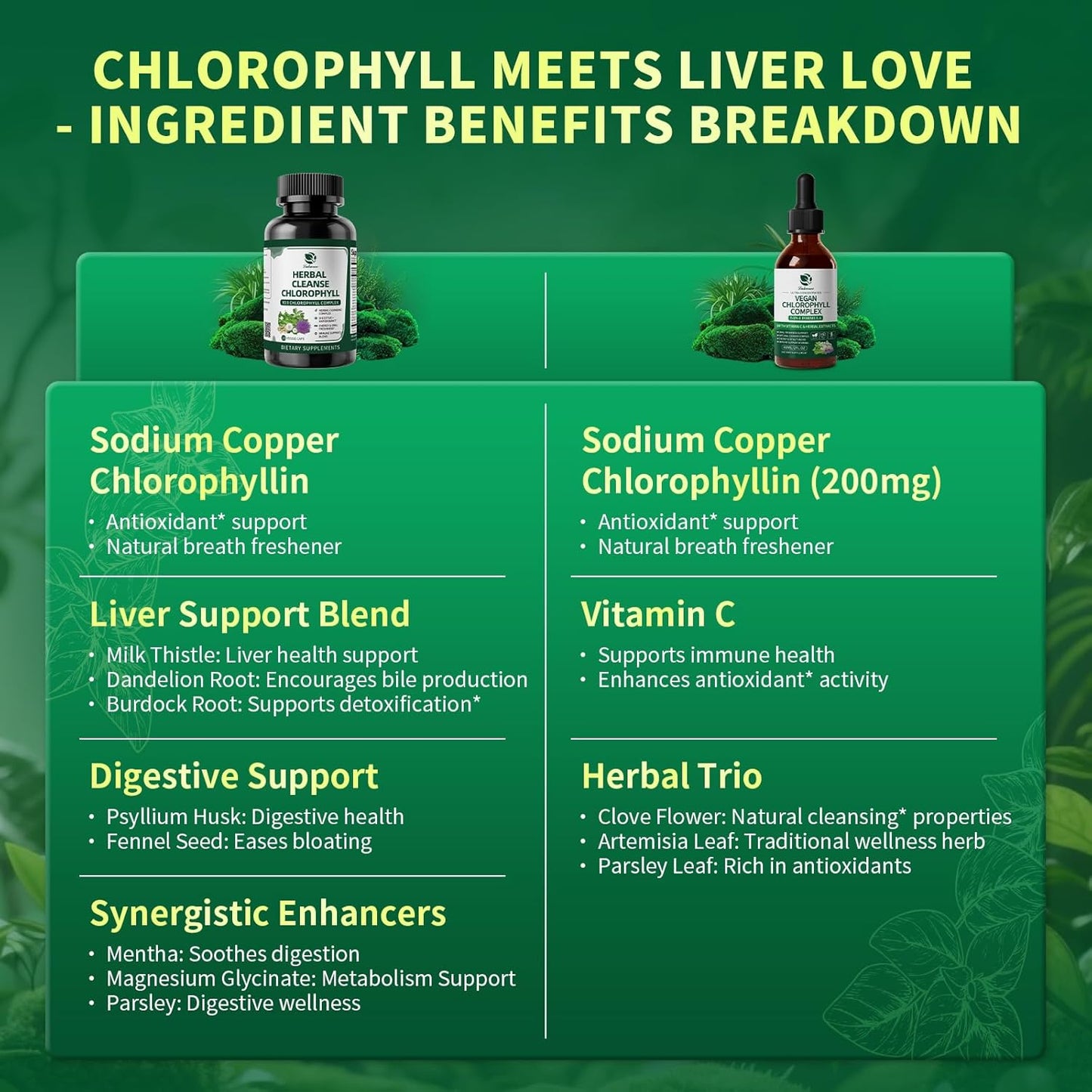 Chlorophyll Liquid Drops & Capsules Combo – 24-Hour Cleansing, Energy & Wellness Support for Oral Freshness, Immune Support, Internal Deodorant 2Oz + 120 Caps