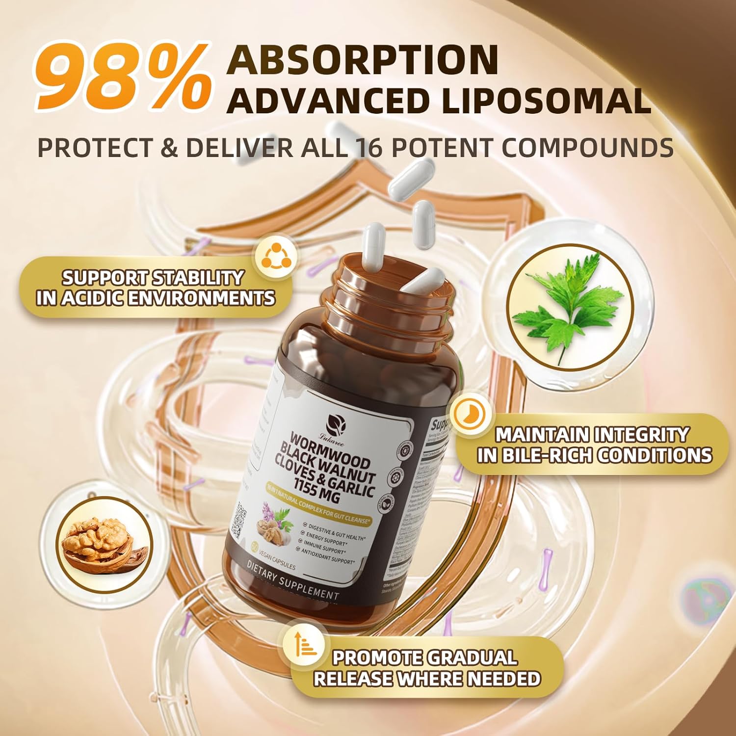 Liposomal gut health supplement with high absorption and vegan capsules