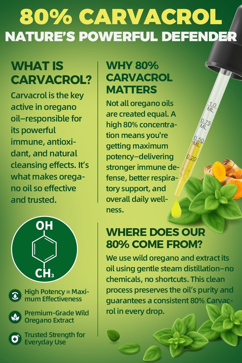 Organic Oregano Oil Drops 80% Carvacrol - With Black Seed Oil, Turmeric & Vitamin E - Immune, Respiratory, Digestive Support 2 Fl Oz