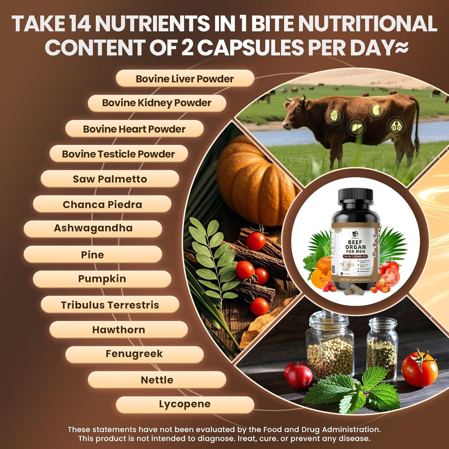 Beef Organ Supplement, Immue Support 120PCS