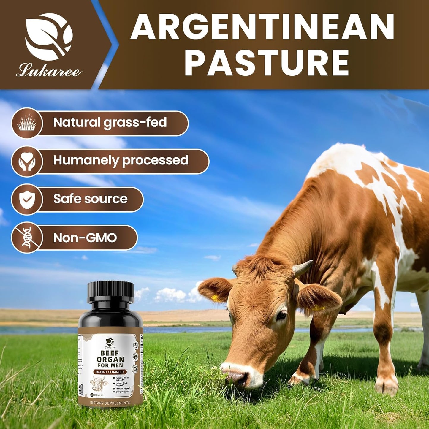 Beef Organ Supplement, Immue Support 120PCS
