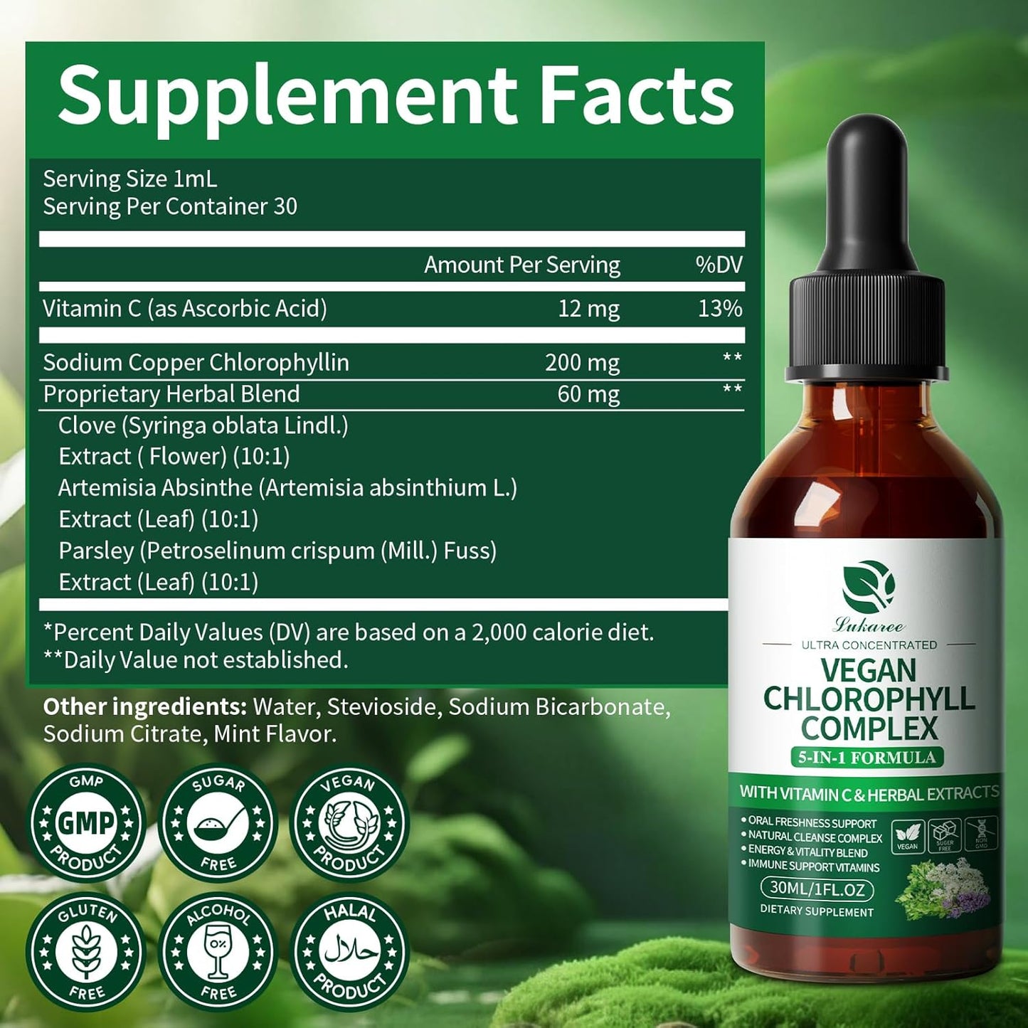 Chlorophyll Drops 200mg – 4X Strength Liquid Chlorophyllin | Cleansing, Odor Control, Skin & Gut Health | Refreshing Mint Flavor