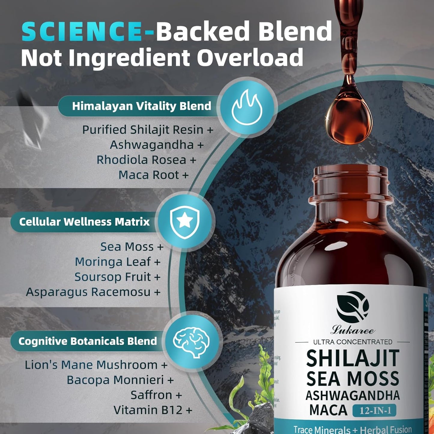 Shilajit Liquid Drops, 12-in-1 Complex - Sea Moss, Ashwagandha, Maca, Fulvic Acid, Trace Minerals, Liquid Vitamins Supplement for Energy, Antioxidant, Immune Support, 60ML/2 FL Oz