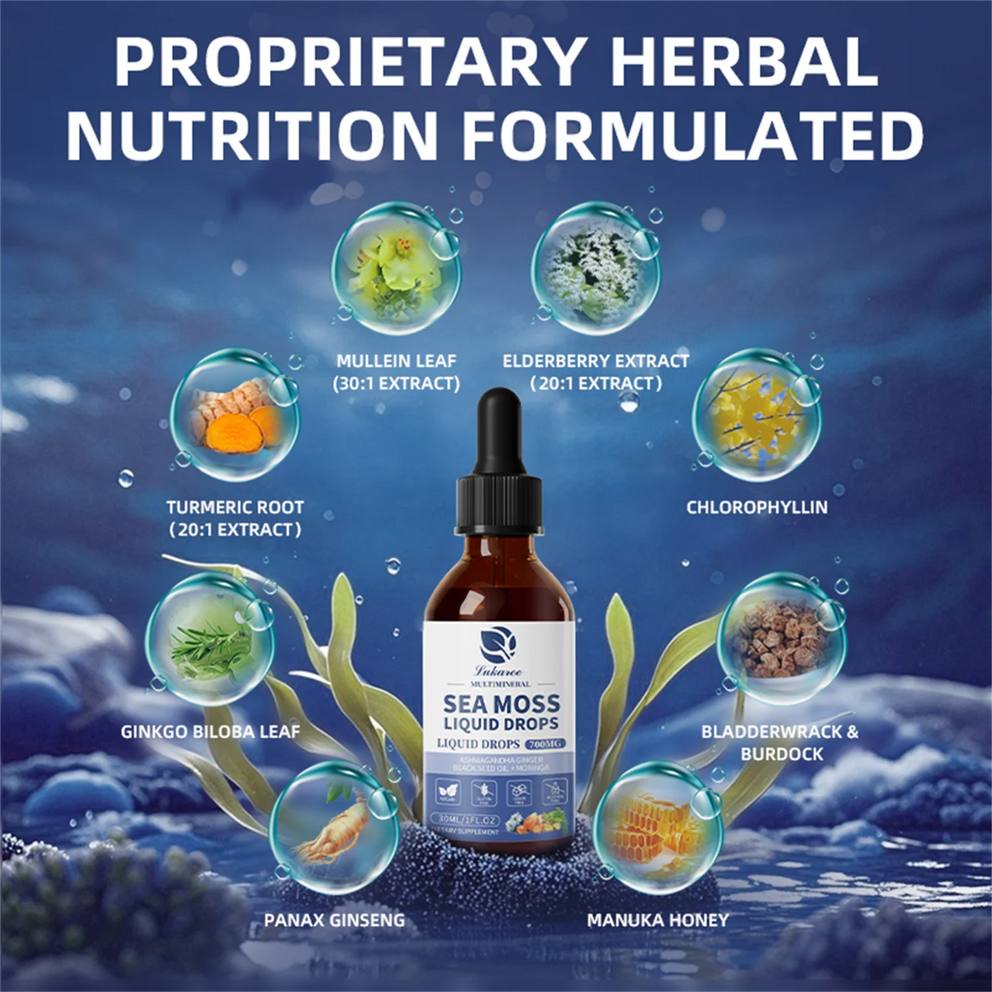 Sea Moss Liquid Drops – Irish Sea Moss with Ashwagandha, Moringa, Black Seed, Mullein Leaf, Chlorophyllin, Elderberry Extract | 2 Fl Oz