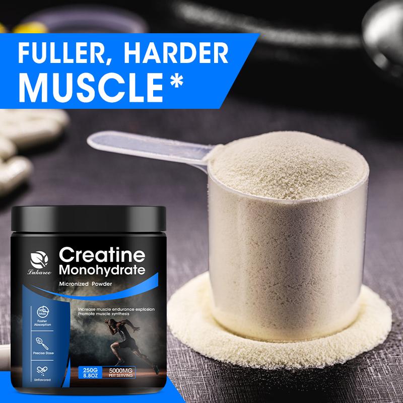 Creatine Monohydrate Powder | MuscleTech Platinum | Pure Micronized | Muscle Recovery + Builder for Men & Women | Workout Supplements | Unflavored