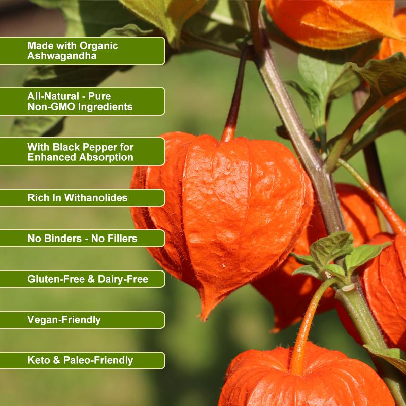 Ashwagandha Extract Capsules Antioxidant Reduces Fat Relieves Stress Improves Sleep Enhances Immunity