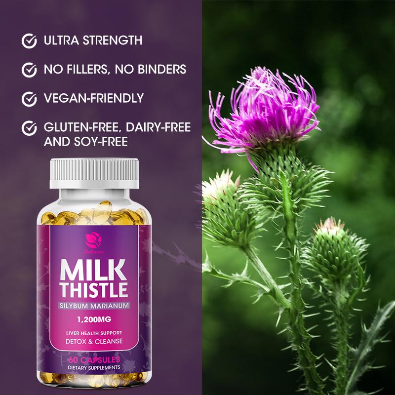 Milk Thistle Silymarin 4:1 Extract 1000mg for Liver Health Lower blood lipids and protect cardiovascular glutathione