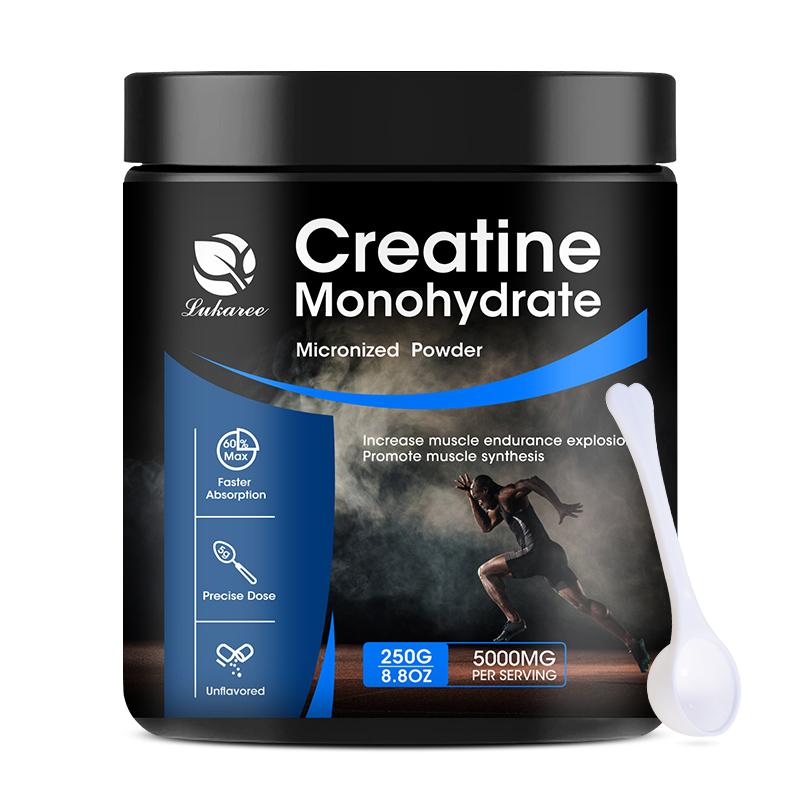 Creatine Monohydrate Powder | MuscleTech Platinum | Pure Micronized | Muscle Recovery + Builder for Men & Women | Workout Supplements | Unflavored