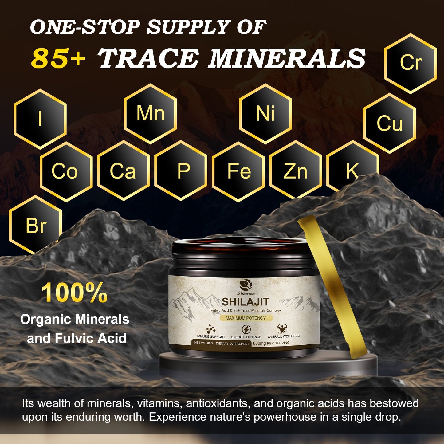 600 Mg Himalayan Shilajit Resin, Shilajit Pure Himalayan Organic, Shilajit Supplement with Purity, High Dosage & Potency for Energy, Strength & Immunity, Men & Women, 60 Grams, 100 Serving