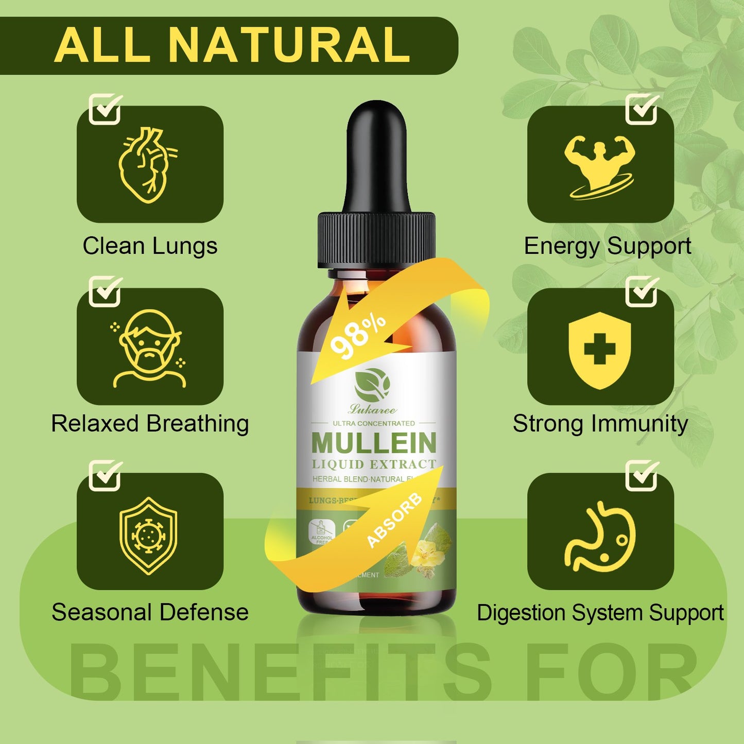 Mullein Drops for Lungs, Lung Detox & Cleanse, Vegan Mullein Leaf Extract Tincture with Chlorophyll Elderberry, etc, Natural Herbal Supplement for Respiratory, Immune, 60 Servings - Lukaree