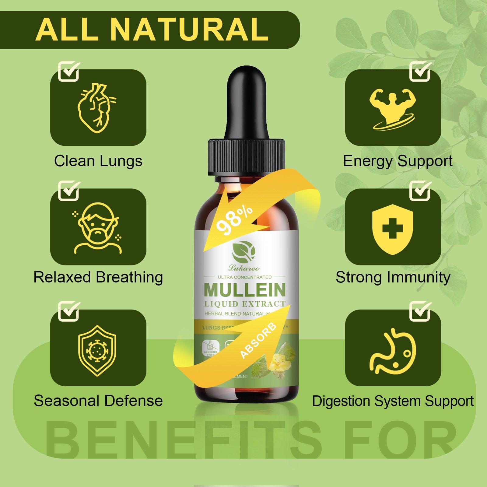 Mullein Drops for Lungs, Lung Detox & Cleanse, Vegan Mullein Leaf Extract Tincture with Chlorophyll Elderberry, etc, Natural Herbal Supplement for Respiratory, Immune, 60 Servings - Lukaree