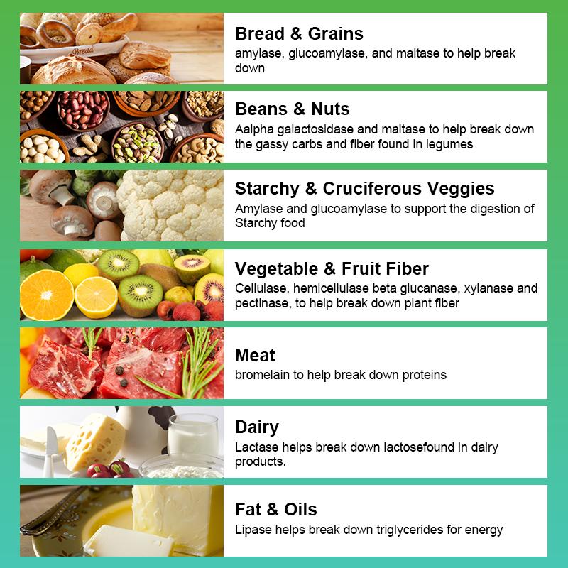 Digestive Enzyme Capsules Prebiotic & Probiotic Supplements Vegetarian Formula Better Digestion & Lactose Absorption