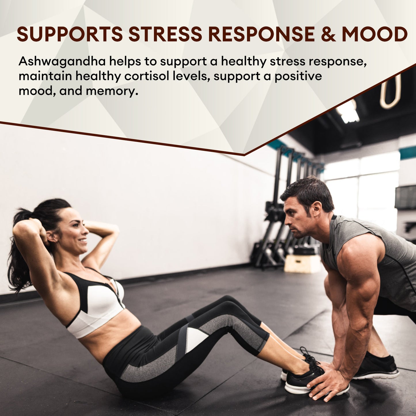 Lukaree 2400mg Fadogia Agrestis & Tongkat Ali with Ashwagandha, L-Arginine and Zinc, Support Energy and Endurance for Fitness and Sport, Gluten Free, Non-GMO, 120 Veg Caps, 40 Servings