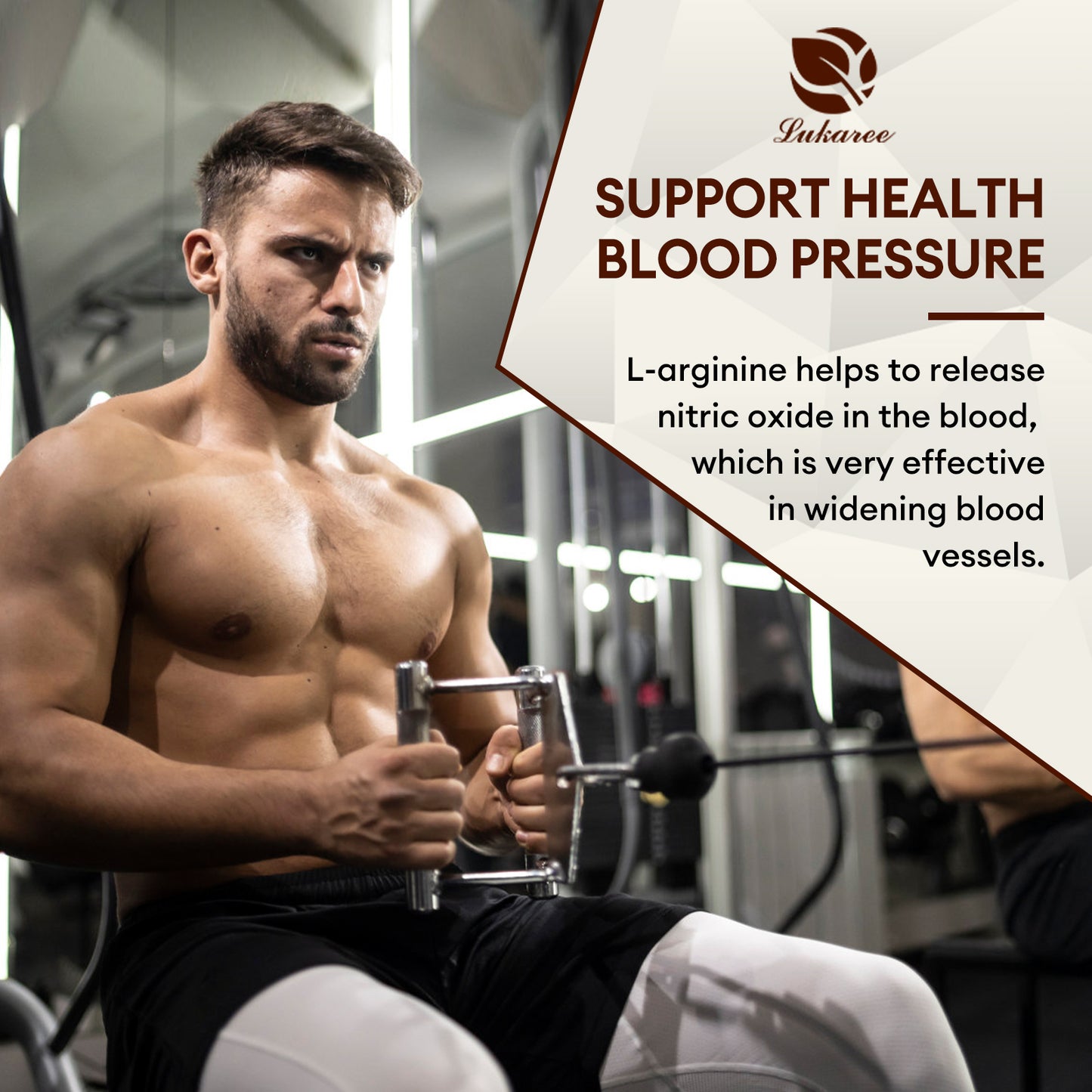 Lukaree 2400mg Fadogia Agrestis & Tongkat Ali with Ashwagandha, L-Arginine and Zinc, Support Energy and Endurance for Fitness and Sport, Gluten Free, Non-GMO, 120 Veg Caps, 40 Servings