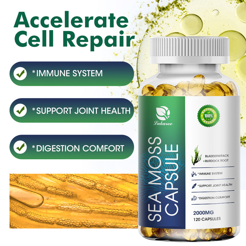 SeaMoss Capsules For Immune Support Metabolism Kickstart Cognitive – 120ct