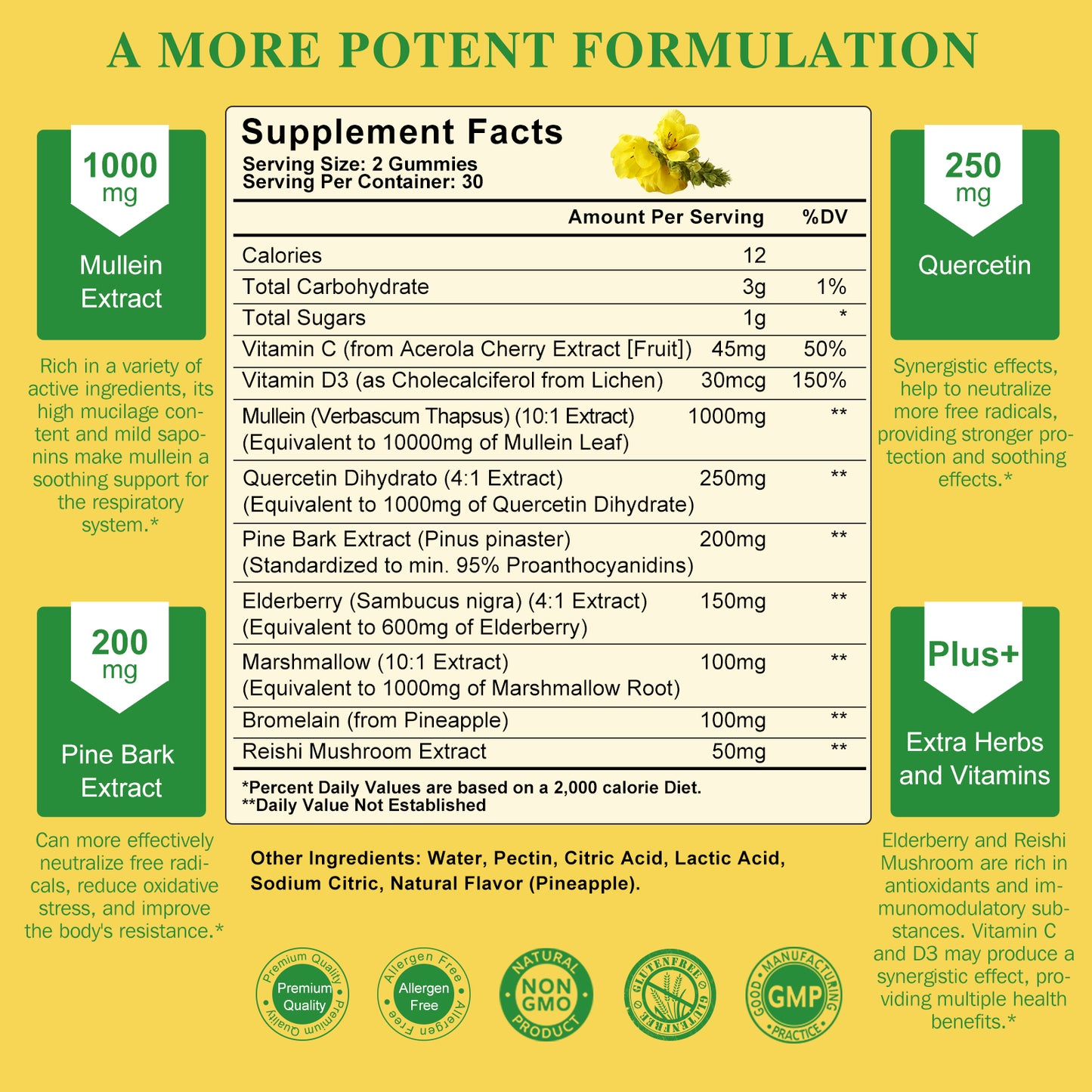 9 in 1 Mullein Gummies for Lung Cleanse, Mullein Leaf Extract with Quercetin, Bromelain, Elderberry & Marshmallow for Respiratory & Immune | 120 Vegan Count (2-Pack)