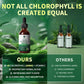 Chlorophyll Drops 200mg – 4X Strength Liquid Chlorophyllin | Cleansing, Odor Control, Skin & Gut Health | Refreshing Mint Flavor