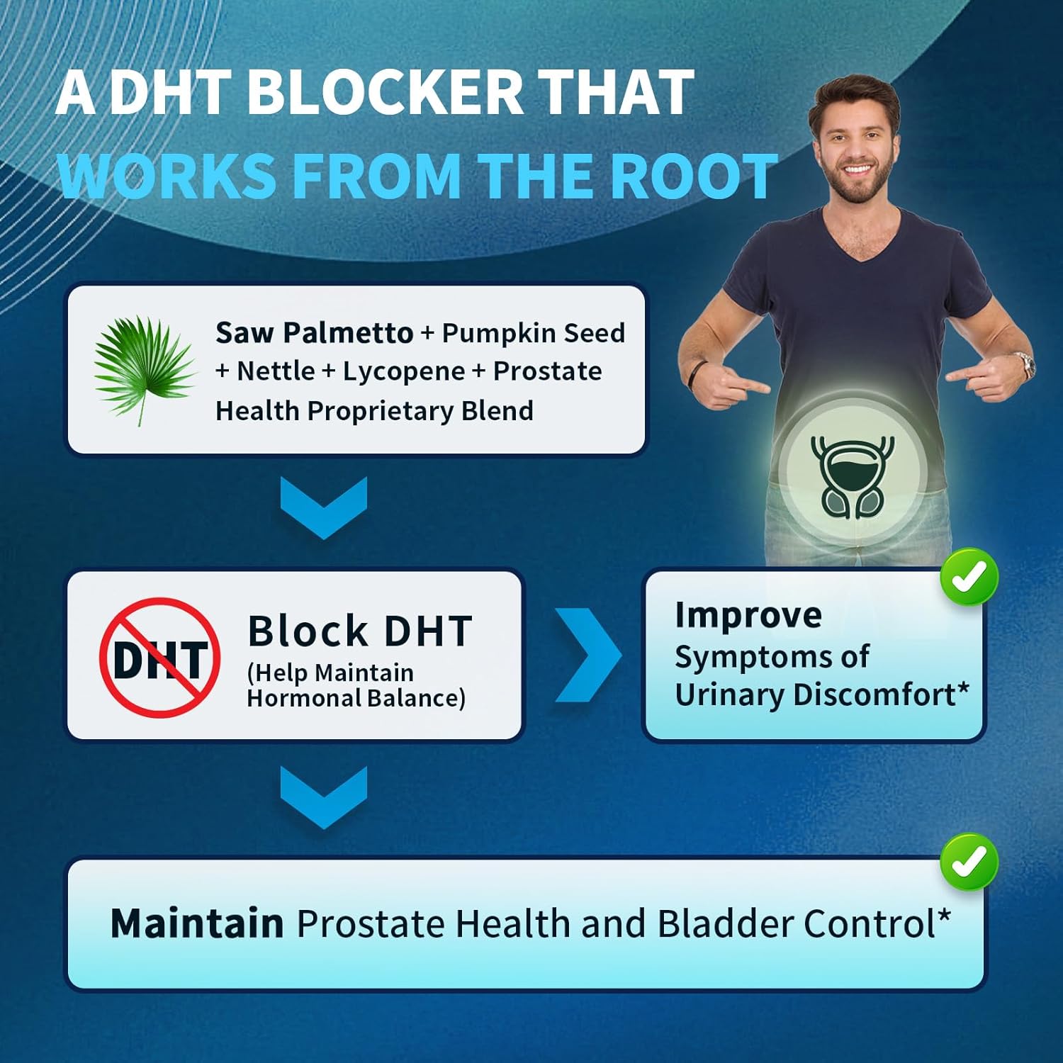 Diagram showing benefits of prostate health support, improved urination flow, and DHT blocker effects
