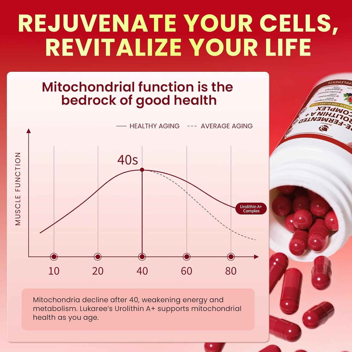 Lukaree Triple-Strength Urolithin A+ Complex – Anti-Aging, Cellular Energy & Gut Support | Plant-Based, 120 Capsules