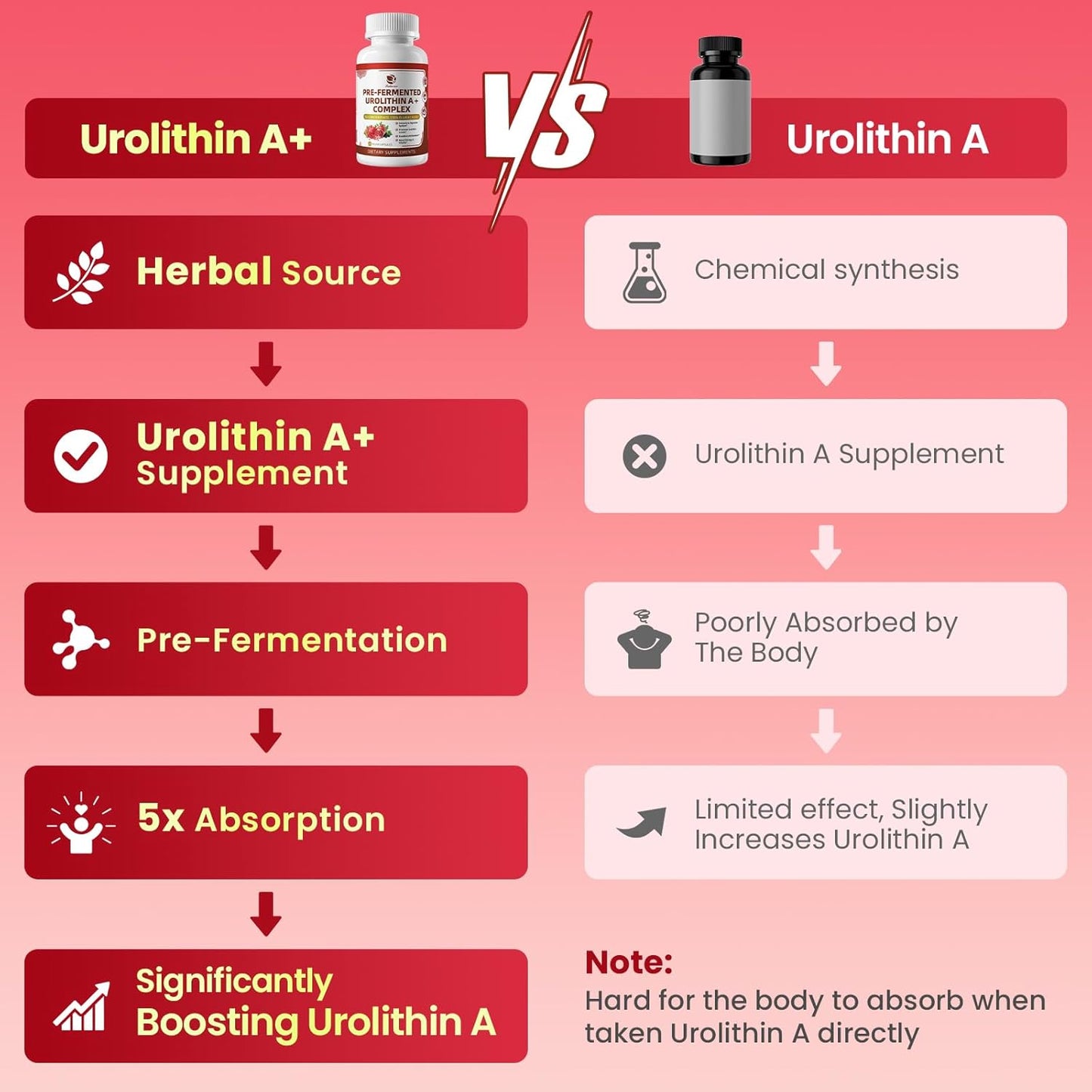 Lukaree Triple-Strength Urolithin A+ Complex – Anti-Aging, Cellular Energy & Gut Support | Plant-Based, 120 Capsules