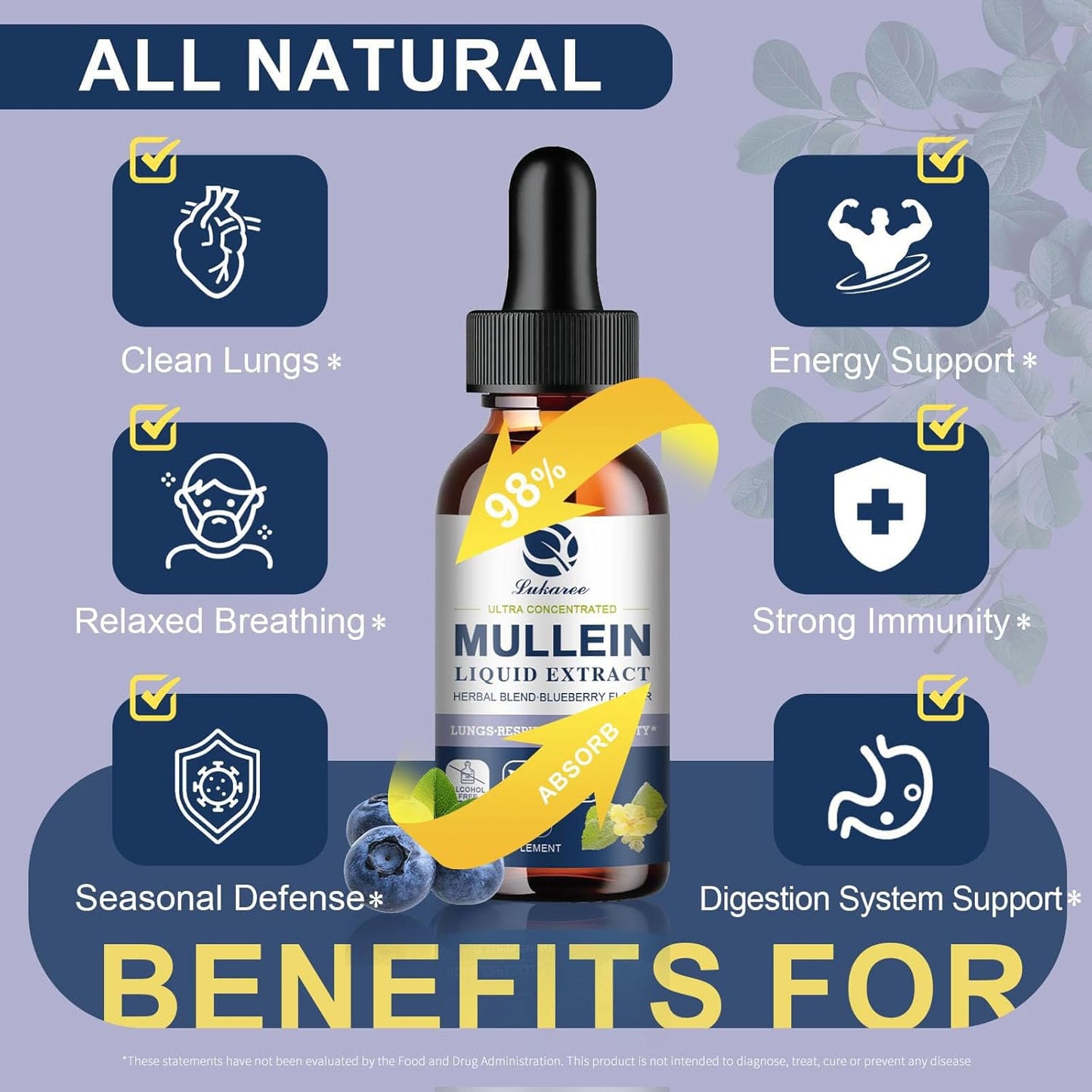 Lukaree Mullein Tincture for Respiratory, Immune & Throat Health