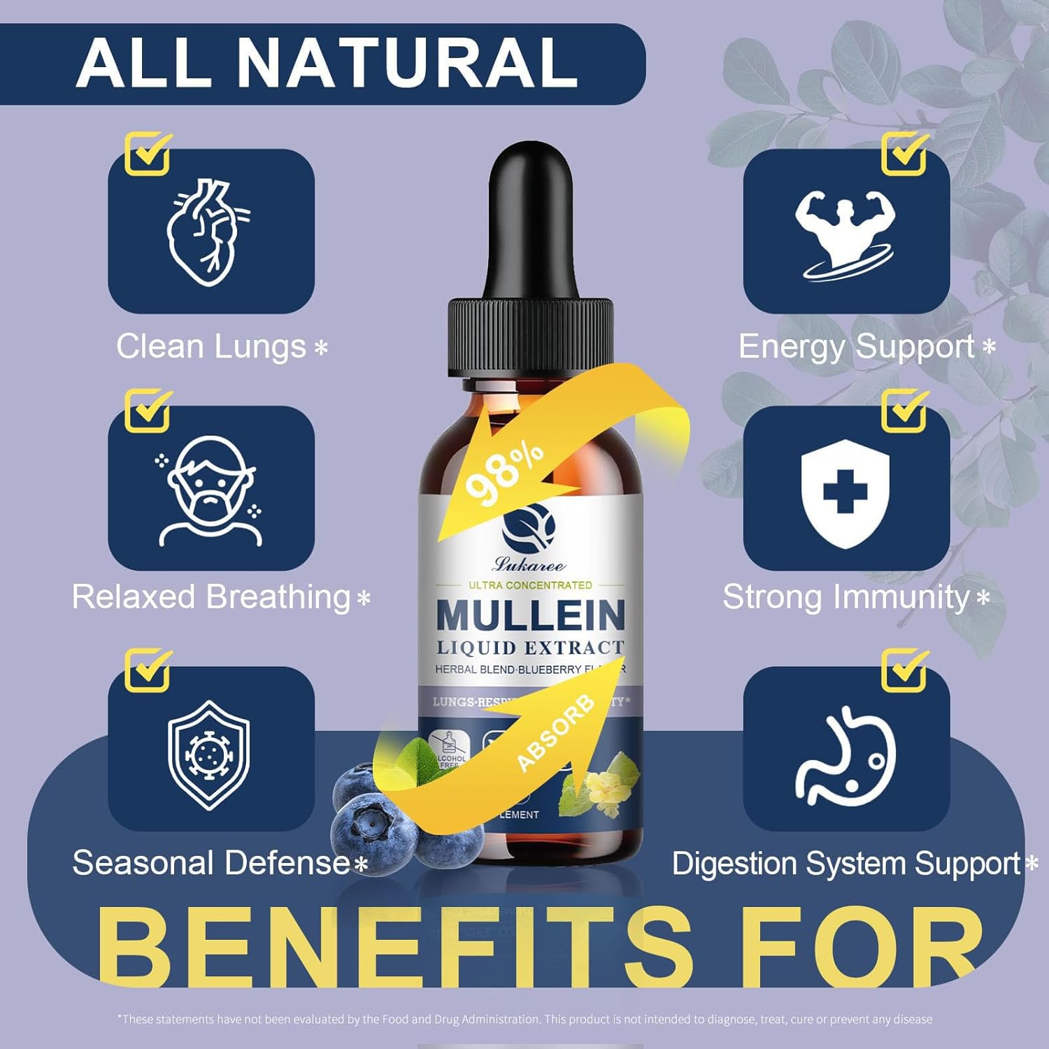 Lukaree Mullein Tincture for Respiratory, Immune & Throat Health