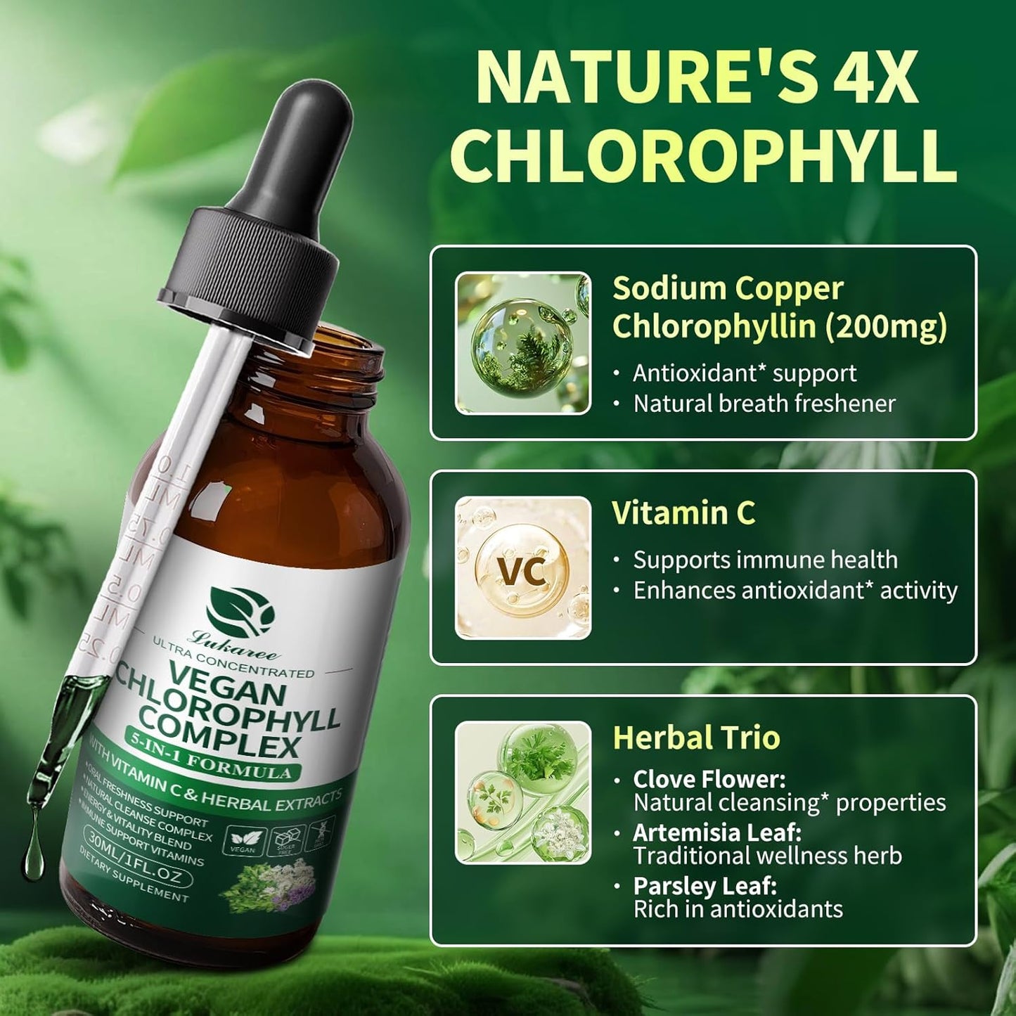 Chlorophyll Drops 200mg – 4X Strength Liquid Chlorophyllin | Cleansing, Odor Control, Skin & Gut Health | Refreshing Mint Flavor
