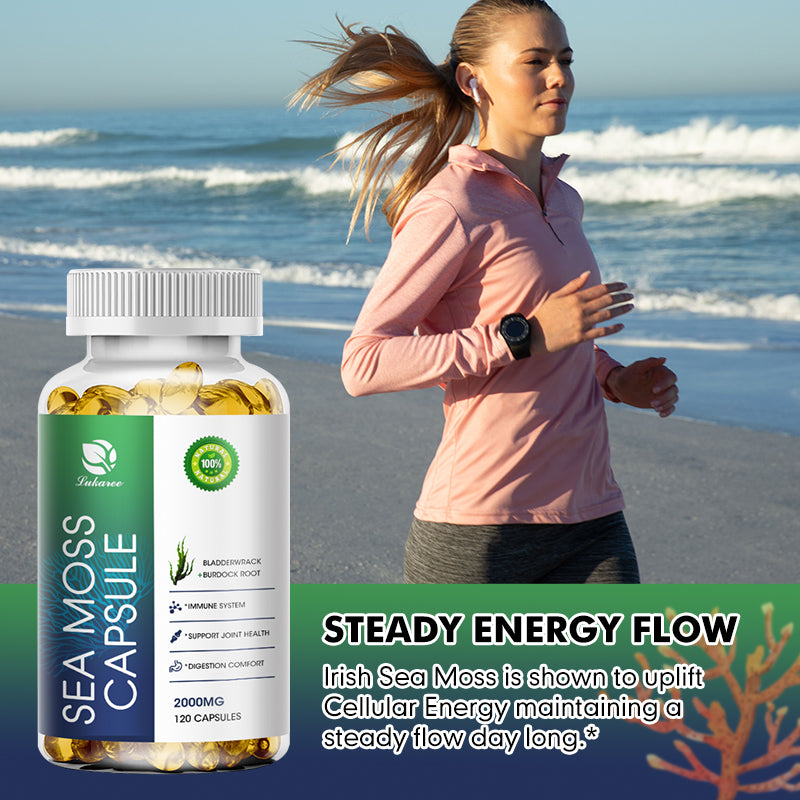 SeaMoss Capsules For Immune Support Metabolism Kickstart Cognitive – 120ct