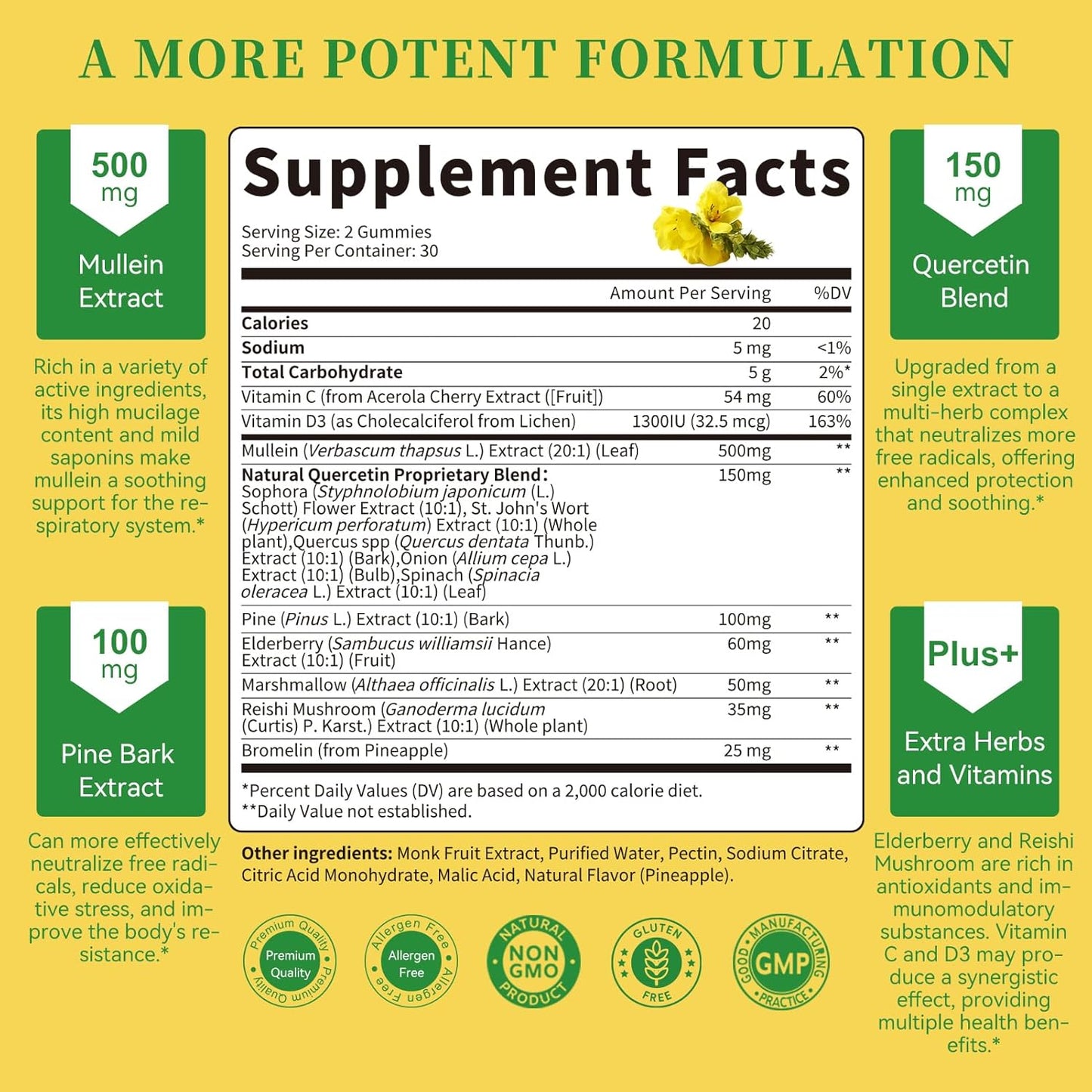 9 in 1 Mullein Gummies for Lung Cleanse, Mullein Leaf Extract with Quercetin, Bromelain, Elderberry & Marshmallow for Respiratory & Immune | 120 Vegan Count (2-Pack)