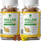 9 in 1 Mullein Gummies for Lung Cleanse, Mullein Leaf Extract with Quercetin, Bromelain, Elderberry & Marshmallow for Respiratory & Immune | 120 Vegan Count (2-Pack)