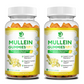 9 in 1 Mullein Gummies for Lung Cleanse, Mullein Leaf Extract with Quercetin, Bromelain, Elderberry & Marshmallow for Respiratory & Immune | 120 Vegan Count (2-Pack)