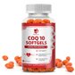 CoQ10 Supplement – Natural Q-SORB Form – 120 Capsules
