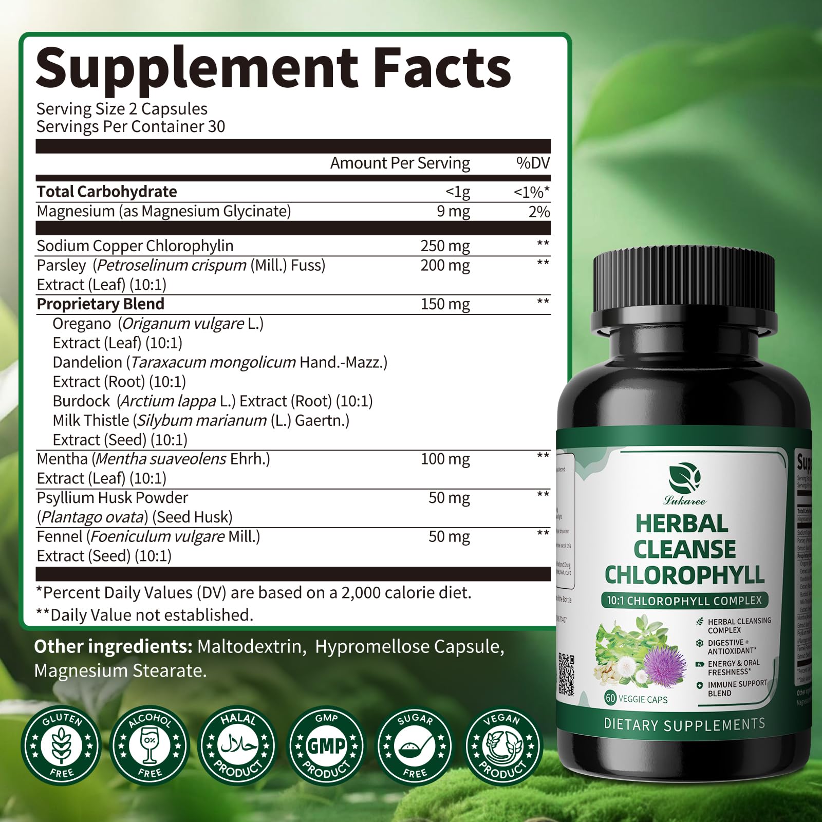 Flat lay of herbal chlorophyll supplement with dandelion, milk thistle, and parsley