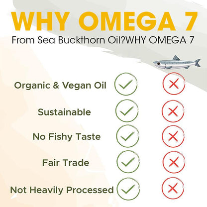 Sea BuckthornCapsules for Anti-aging  Supplementing vitamin C protecting the liver, Relieving Constipation Weight Loss