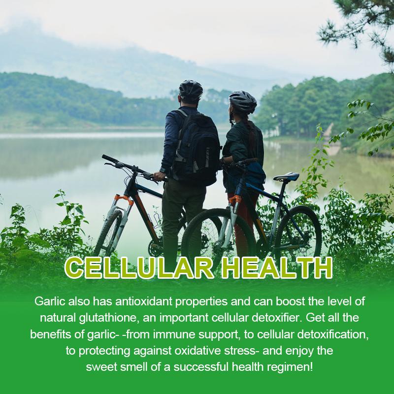 Allicin Capsules Detoxification, Intestinal and Digestive Care Promote Appetite Improve Digestive Ability
