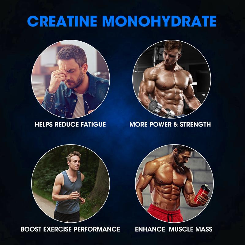 Creatine Monohydrate Powder | MuscleTech Platinum | Pure Micronized | Muscle Recovery + Builder for Men & Women | Workout Supplements | Unflavored