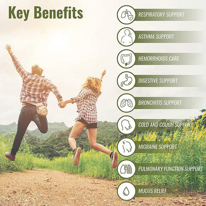 Mullein Leaf Capsules Support Respiratory System Health Lung Cleansing And Detoxification