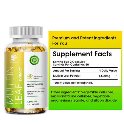 Mullein Leaf Capsules Support Respiratory System Health Lung Cleansing And Detoxification