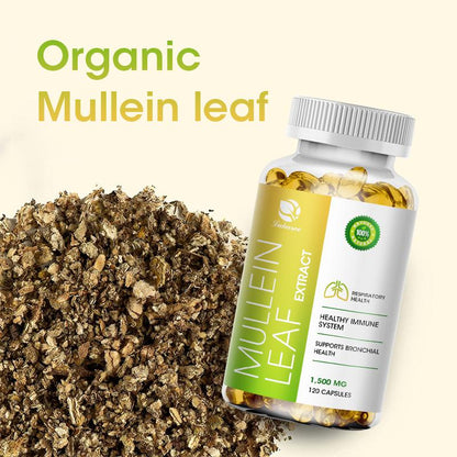 Mullein Leaf Capsules Support Respiratory System Health Lung Cleansing And Detoxification