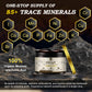 600 Mg Himalayan Shilajit Resin, Shilajit Pure Himalayan Organic, Shilajit Supplement with Purity, High Dosage & Potency for Energy, Strength & Immunity, Men & Women, 60 Grams, 100 Serving