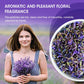 Organic Dried Lavender Flowers Tea Pure Natural Lavender Tea for Improve Sleep Detox Body Gas &amp; Bloating Immune Health Balance Mood Support
