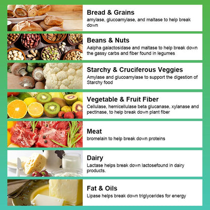 Digestive Enzyme Capsules Prebiotic & Probiotic Supplements Vegetarian Formula Better Digestion & Lactose Absorption