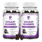 Shilajit Supplement Gummies with Black Seed Oil, Extra Strength Himalayan Resin Pure Organic 13-in-1 Complex Chewables - for Energy, Cognitive & Immunity Support - Shilajit for Men & Women