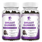Shilajit Supplement Gummies with Black Seed Oil, Extra Strength Himalayan Resin Pure Organic 13-in-1 Complex Chewables - for Energy, Cognitive & Immunity Support - Shilajit for Men & Women
