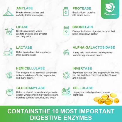 Digestive Enzyme Capsules Prebiotic & Probiotic Supplements Vegetarian Formula Better Digestion & Lactose Absorption