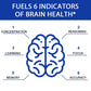 Neuro Brain & Focus 60 Capsules, Healthy Memory Function, Nootropic Supplement